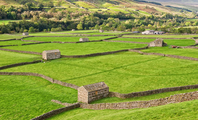 Gunnerside Swaledale