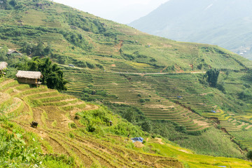 Sapa, Vietnam