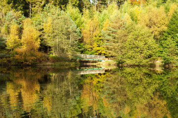 Fototapeta na wymiar Autumn forests and reflections in the English countryside of the Forest of Dean..