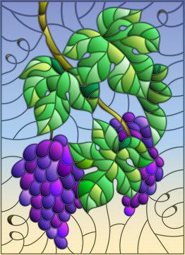 The illustration in stained glass style painting with a bunch of red grapes and leaves on sky background