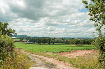 Agricultural landscape in the British countryside.