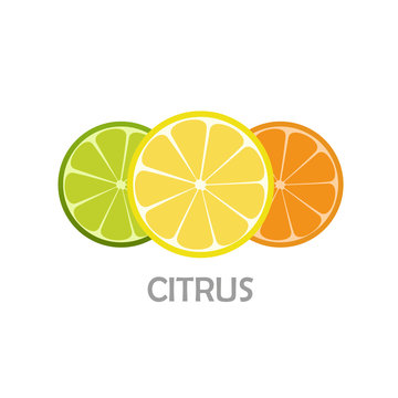 Lemone, lime, orange icon. Citrus. Refreshing drink. Vector illustration.
