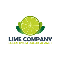 Lime logo company. Citrus. Vector logo illustration.