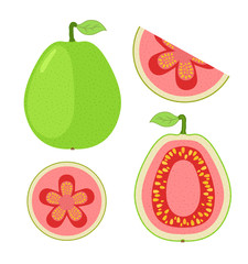 Slices of guava, whole exotic fruit. Flat cartoon vector style.