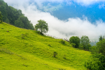 Fantastic landscape of mountain forest in clouds, fog or mist. G