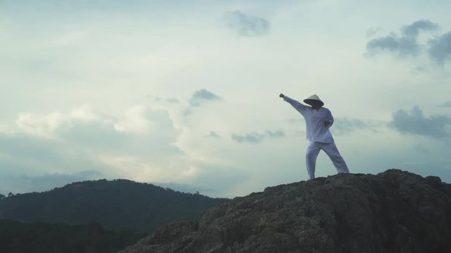 Martial Artist Training Alone, Practising His Moves