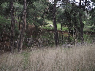 Naklejka premium on mount