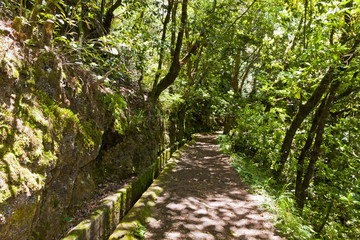 Hiking along irrigation canals ( Levada), Madeira, Portugal