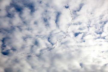 Aerial sky and clouds background