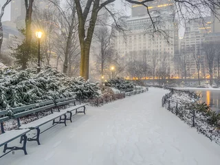 Stickers pour porte Central Park Central Park, tempête de neige à New York