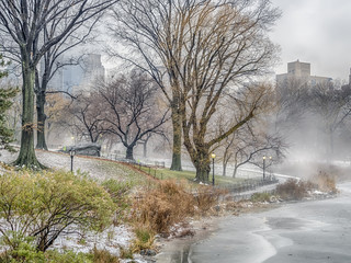 Central Park, New York City foggy morning