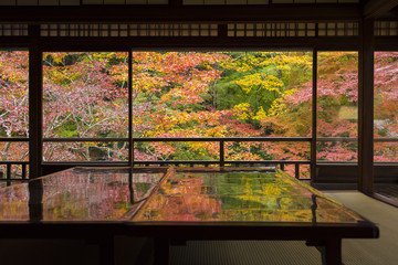 Autumn Japanese garden of Rurikoin temple, Kyoto, Japan