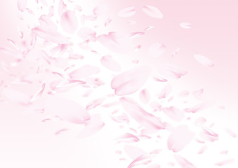 Obraz premium 桜吹雪