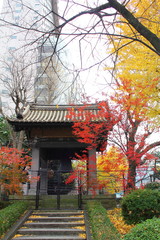 Yokoamicho Park in autumn.  Yokoamicho park is Sumida word in Tokyo, Japan.