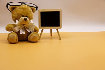 Bear teacher is in classroom with blackboard