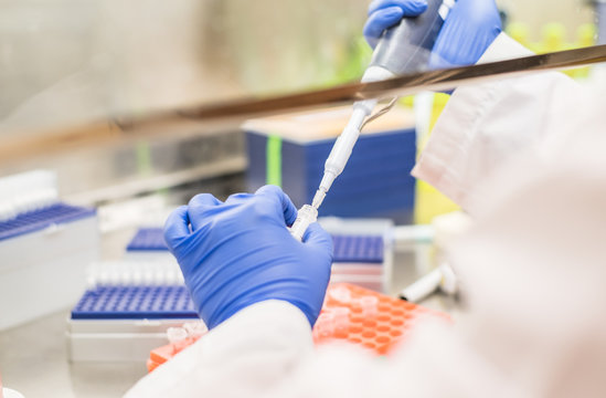 Working In The Biosafety Cabinet