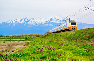 鳥海山を背景に走る電車