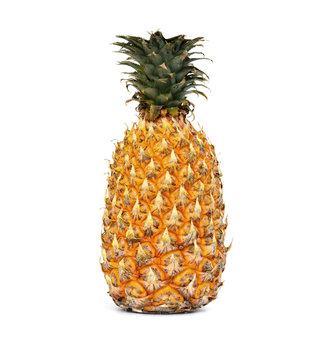 Ripe fruit pineapple on white background