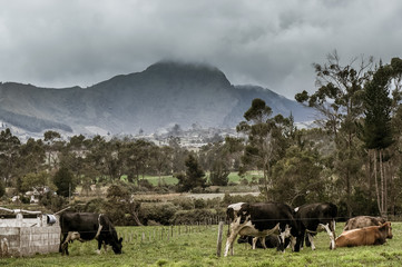 Cotopaxi, Ecuador
