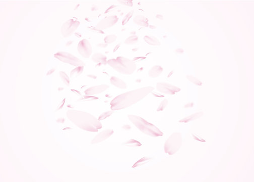 桜吹雪