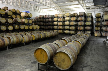 Wine barrels at the winery Viu Manent.