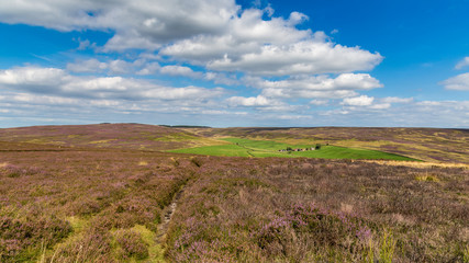 North York Moors near Percy Cross, North Yorkshire, UK
