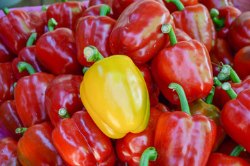 a yellow bell pepper in red bell peppers, different concept
