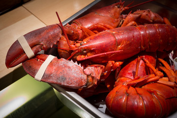 close up of big lobster in tray