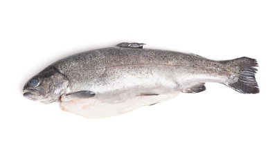 Gutted trout isolated