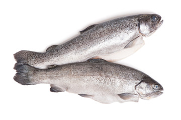 Gutted trout fishes