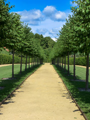 Alley in the castle garden - Kunstat castle.