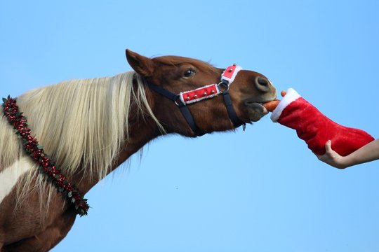 Ponette avec son cadeau