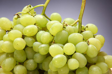 シャインマスカット