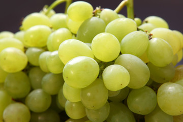 シャインマスカット