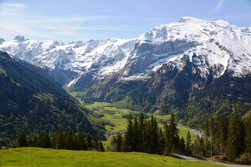 Fototapeta premium Swiss Alps