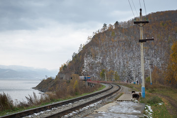 Fototapeta premium The local train at the village winding Angasolka