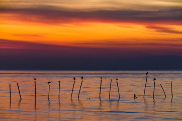 Colorful of sunrise twilight over the  sea,Gulf of Thailand with