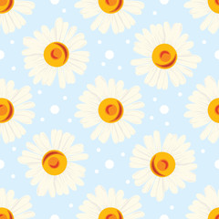 Seamless chamomile pattern on blue background. 