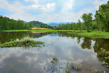 View of mountain river forest natural landscape with sunny.