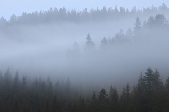 Fototapeta Mountains in the fog