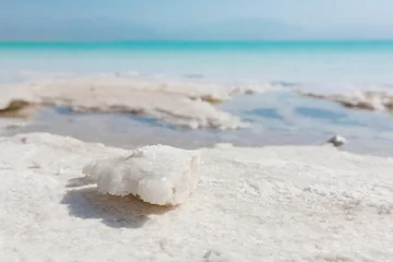 Abwaschbare Fototapete Natural salt crystals at the Dead Sea © Volodymyr Herasymov