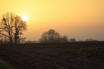 Wooden Hunting high tower near the meadow. Hunters lookout tower against sunset at autumn time. 