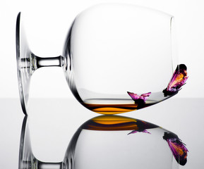 Butterflies sipping whiskey