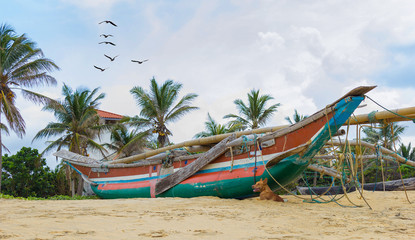 Fototapeta na wymiar sri-lanka beach sun boat dag in the shadow