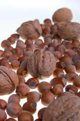 Hazelnuts and walnut on a white background. Isolated. Gruop of dried nuts. Close up.