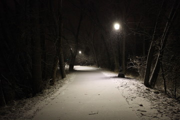 Snowy Path