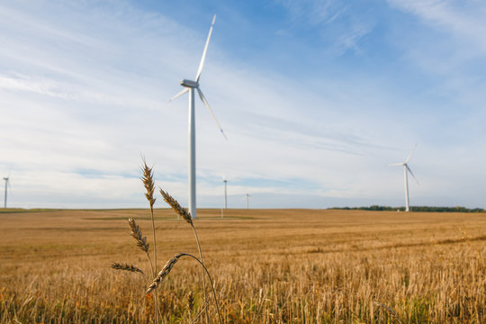 wind turbines generating electricity