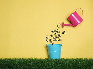 Top view Investment is like planting trees. Take care it will provide a good growth on colorful backgound.Watering can and money tree drawn concept for business investment, savings and making money. © anon