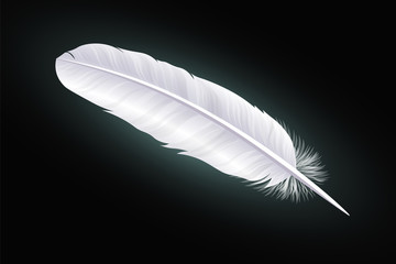 White feather on a black background. Vector © LuckyStep