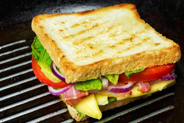 grilled sandwich or panini on grill